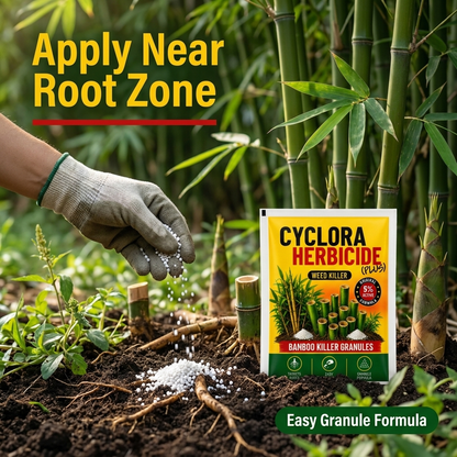 Cyclora Herbicide Granules | 🔥BUY 1 GET 2 FREE🔥