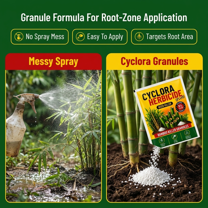 Cyclora Herbicide Granules | 🔥BUY 1 GET 2 FREE🔥